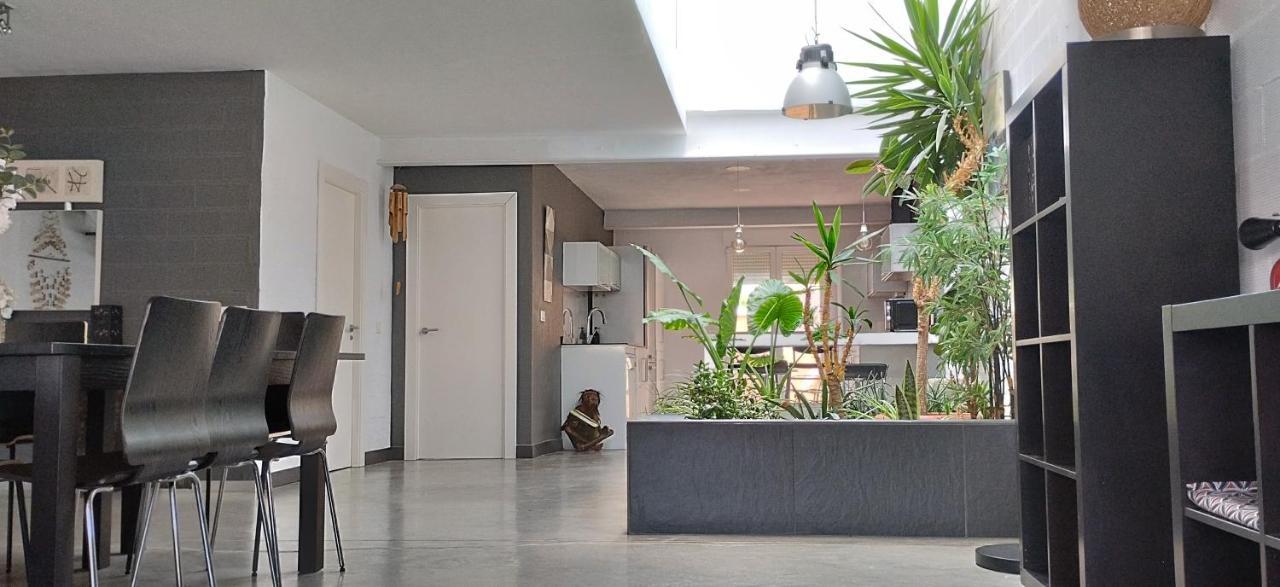 Loft Carrasketa Apartment Alfafara Luaran gambar