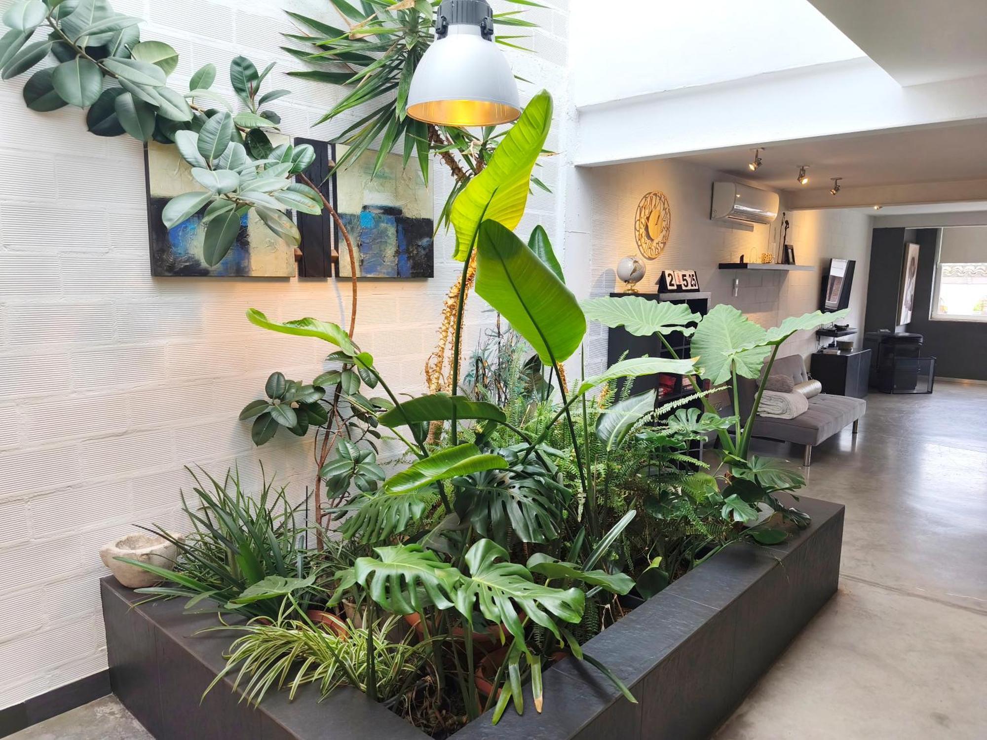 Loft Carrasketa Apartment Alfafara Luaran gambar